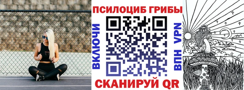 Псилоцибиновые грибы Psilocybine cubensis  как найти   Ртищево 